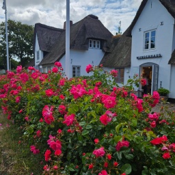 nordsee rundreise 2023_73